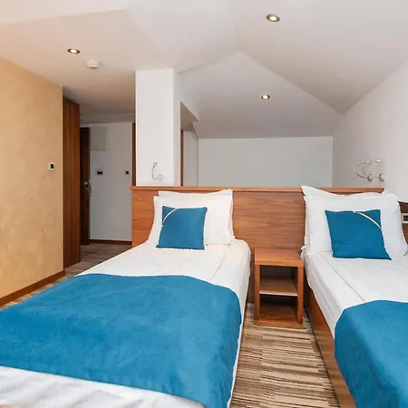 Bistrik Center ホテル