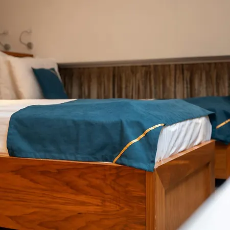 Hotel Bistrik Center 4*