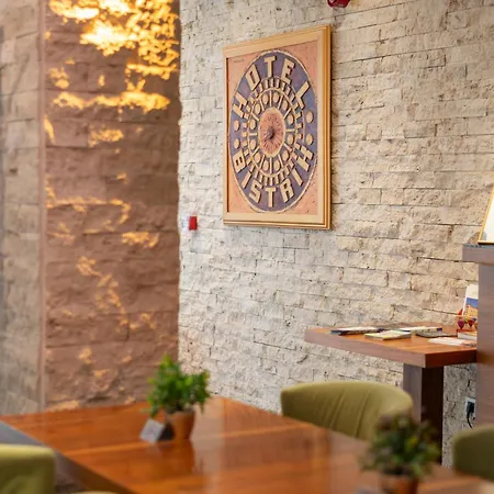 Hotel Bistrik Center
